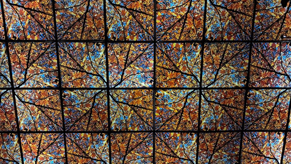The famous autumn-leaves ceiling